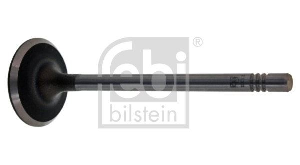 Intake Valve